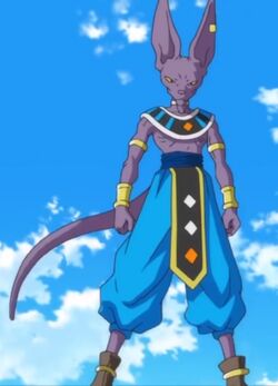 God of Destruction Dragon Ball Wiki Fandom