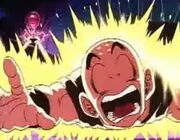 Krillin Shocked