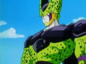 Cell