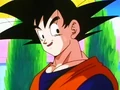 Dbz233 - (by dbzf.ten.lt) 20120314-16355103.jpg (19 KB)