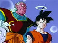 Dbz235 - (by dbzf.ten.lt) 20120324-21245999