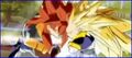 Super Saiyan 4 Gogeta and Super Saiyan 3 Gotenks use the attack in W Bakuretsu Impact