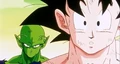 Piccolo and Goku