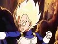 Vegeta 75654