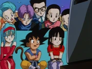 Goku, Bulma, and the others