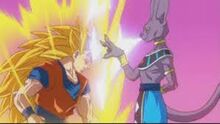 Beerus 2.jpg
