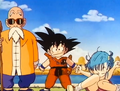 Goku returns with Roshi and Bulma