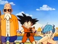 GokuReturnsWithRoshiAndBulma.png (990 KB) Goku returns with Roshi and Bulma