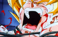 RoC - Goku pain