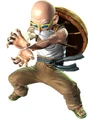 Master Roshi