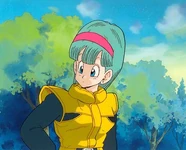 Bulma during the Namek Saga