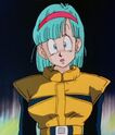 Bulma