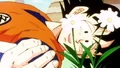 FriendlySurprise13.png (241 KB) Goku collapses after overworking himself in his training