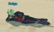 XV2 - Bulga