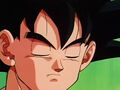 200 20120225-15312116.jpg (14 KB) Goku