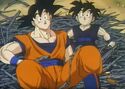 Gohan and Goku are lying