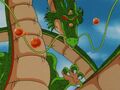 Goku, Shenron and the Dragon Balls begin to leave before they disappear forever