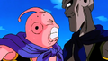 The two Majin Buus