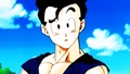Gohan