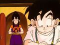 Chi-Chi bringing Gohan a drink