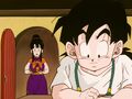 Chi-Chi bringing Gohan a drink