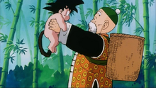 Son Gohan TV Spécial