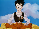 Gohan on the Flying Nimbus