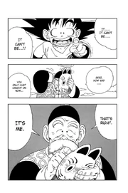 Grandpa Gohan reveals himself