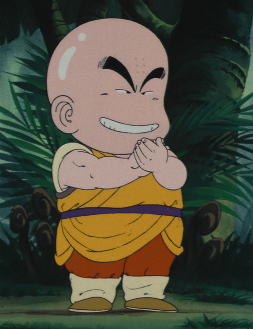 krillin with hair