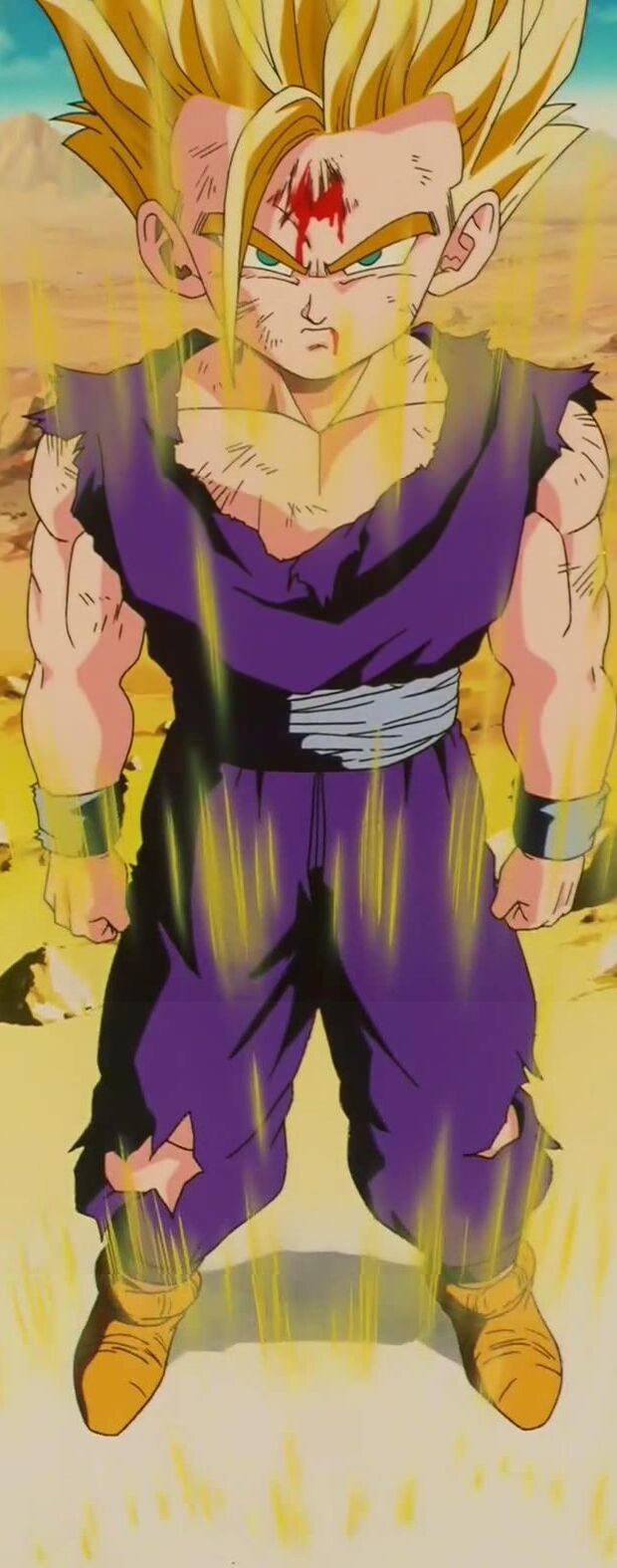 Goku (Super Sayajin 2), Wiki