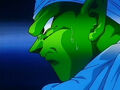 Dbz248(for dbzf.ten.lt) 20120503-18215258