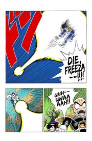 Final Burst Cannon (manga)