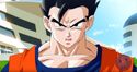 Gohan047