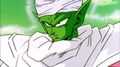 Piccolo arrives