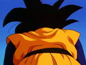 Dbz242(for dbzf.ten.lt) 20120404-16021687