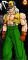 Android thirteen Tenkaichi two