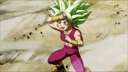 Dragon ball hot sale super episodes 116