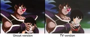 ToM Censorship Comparison