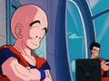 Krillin and Yamcha
