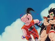 Raditz Vs. Krillin