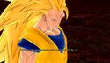 Super Saiyan 3 Goku in Raging Blast 2