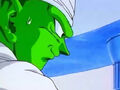 Dbz242(for dbzf.ten.lt) 20120404-16223538