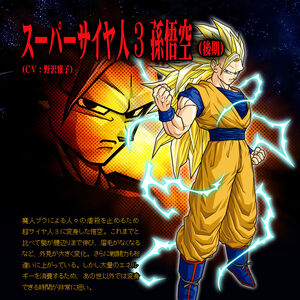 Goku (Fim) SS3 BT3.jpg