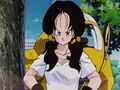 Videl tracks the Great Saiyaman