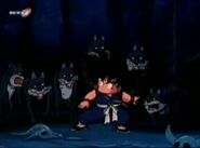 Son Goku pelea contra los lobos del lugar.