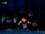 Goku contra los lobos del lugar.