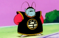 King Kai | Dragon Ball Wiki | Fandom