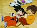 Cocoa playing with Goku