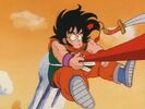 YAMCHA owned count 1