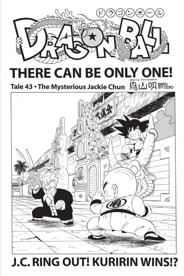 The Mysterious Jackie Chun | Dragon Ball Wiki | Fandom